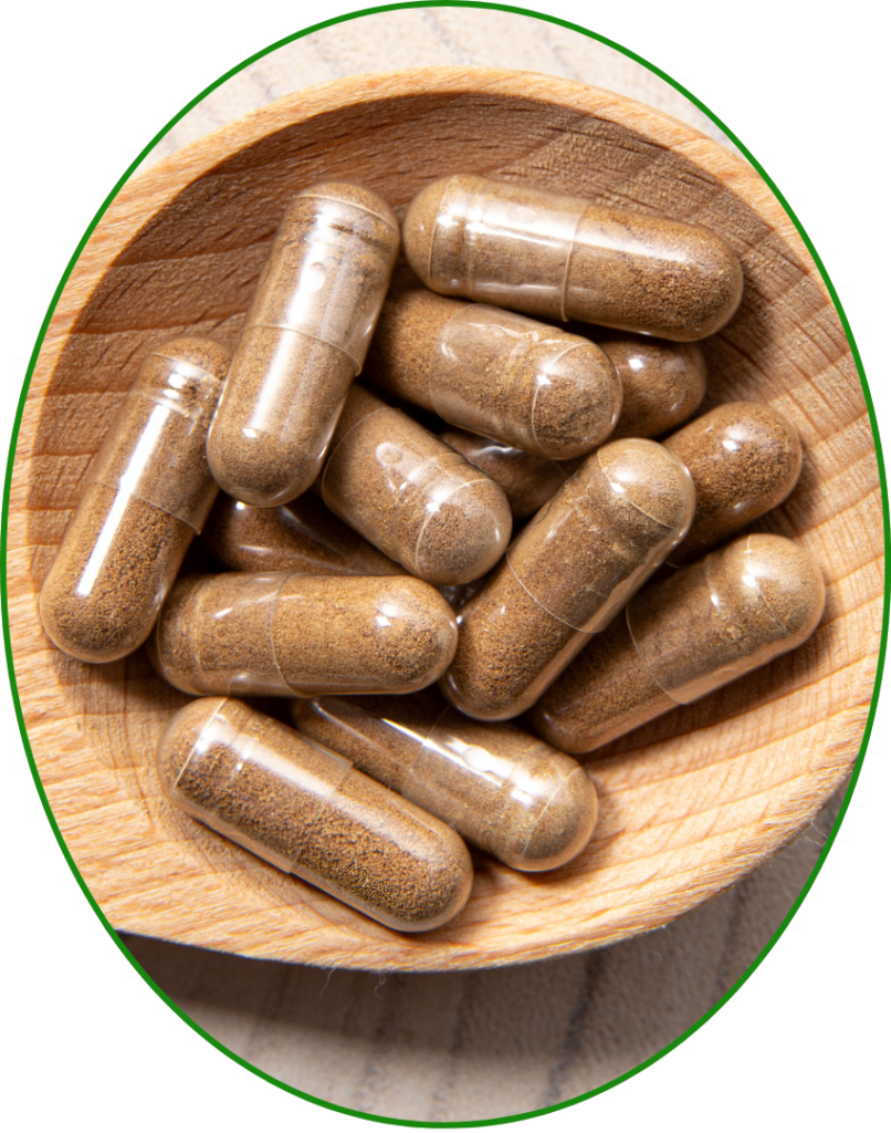 Ashwagandha Extract Capsules