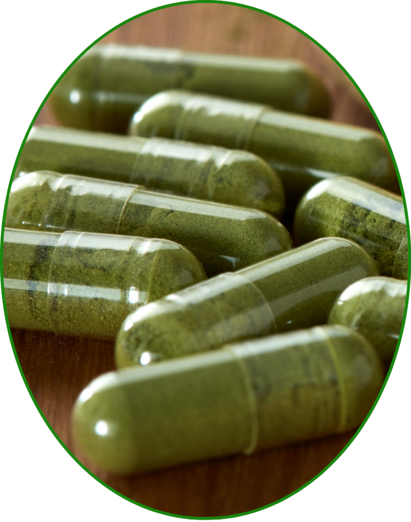 Moringa Extract Capsules