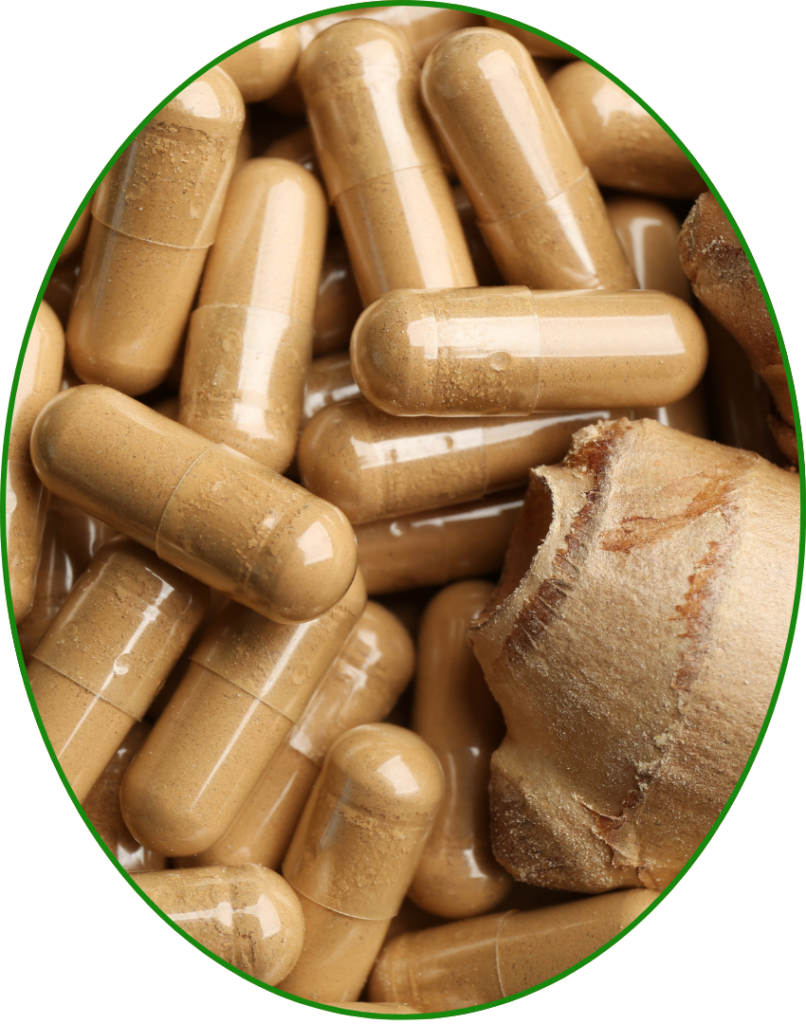 Ginger Extract Capsule